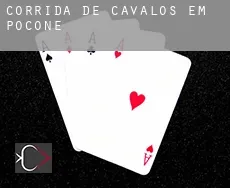 Corrida de cavalos em Poconé