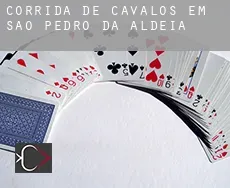 Corrida de cavalos em  São Pedro da Aldeia
