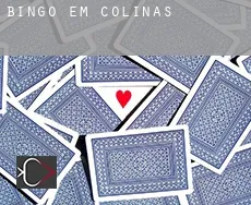 Bingo em  Colinas