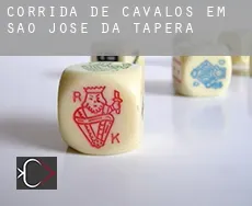 Corrida de cavalos em  São José da Tapera