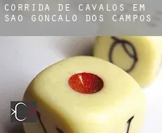 Corrida de cavalos em São Gonçalo dos Campos
