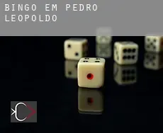 Bingo em Pedro Leopoldo