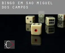 Bingo em  São Miguel dos Campos