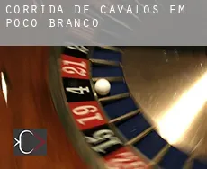 Corrida de cavalos em  Poço Branco