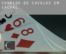 Corrida de cavalos em  Cacoal