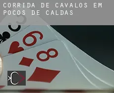 Corrida de cavalos em Poços de Caldas