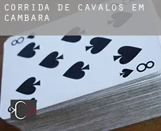 Corrida de cavalos em  Cambará