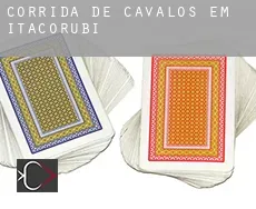 Corrida de cavalos em Itacorubi