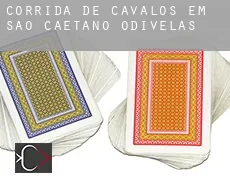 Corrida de cavalos em  São Caetano de Odivelas