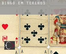 Bingo em  Terenos