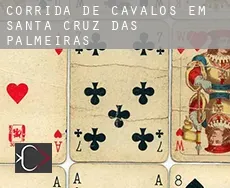 Corrida de cavalos em  Santa Cruz das Palmeiras