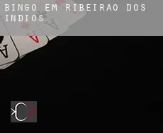 Bingo em  Ribeirão dos Índios