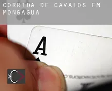 Corrida de cavalos em Mongaguá