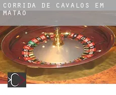 Corrida de cavalos em Matão