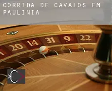 Corrida de cavalos em Paulínia
