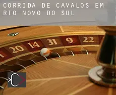 Corrida de cavalos em Rio Novo do Sul