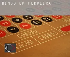 Bingo em Pedreira