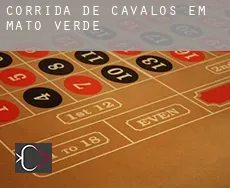 Corrida de cavalos em Mato Verde