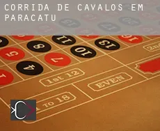 Corrida de cavalos em  Paracatu