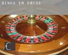 Bingo em  Patos