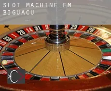 Slot machine em Biguaçu