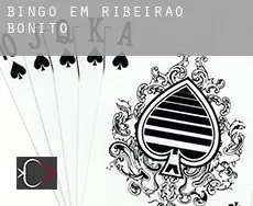 Bingo em Ribeirão Bonito