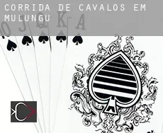 Corrida de cavalos em Mulungu