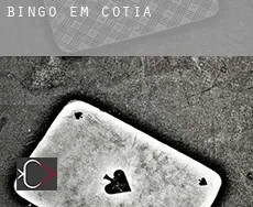 Bingo em Cotia