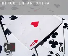 Bingo em  Antonina