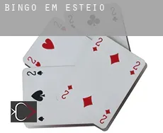 Bingo em Esteio