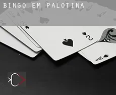 Bingo em  Palotina