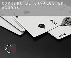 Corrida de cavalos em Agudos