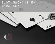 Slot machine em Tarauacá
