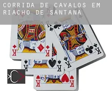 Corrida de cavalos em Riacho de Santana