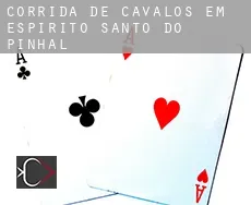 Corrida de cavalos em Espírito Santo do Pinhal