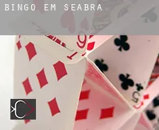 Bingo em  Seabra