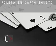Roleta em  Capão Bonito