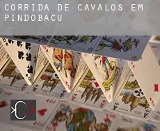 Corrida de cavalos em  Pindobaçu
