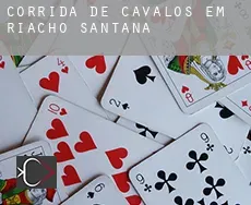 Corrida de cavalos em  Riacho de Santana